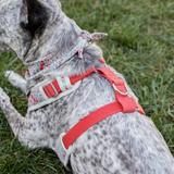 Petshop Floral Ditsy Dog Harness