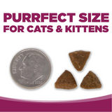 NutriSource Cat & Kitten Chicken Rice
