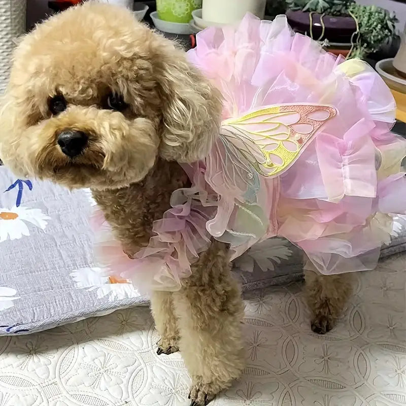 Small dog wearing a pink fairy costume with butterfly wings on a patterned surface.