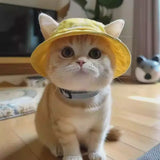 Yellow Tie Dye Pet Sun Hat