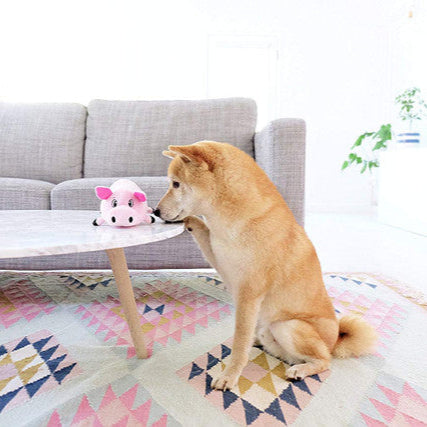 Dog playing with a toy on a colorful rug in a living room.