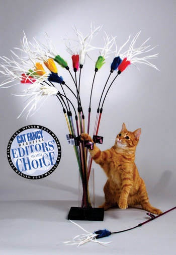 A cat playing with a feather bouncer toy, which has a wand with colorful feathers and a cable for bounce.