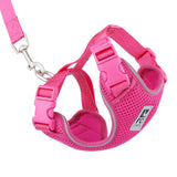 RC Pets Adventure Kitty Harness Rasberry