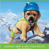 Rawz K9 Aujou Shredded Salmon Beef Tuna 2.46oz PCH