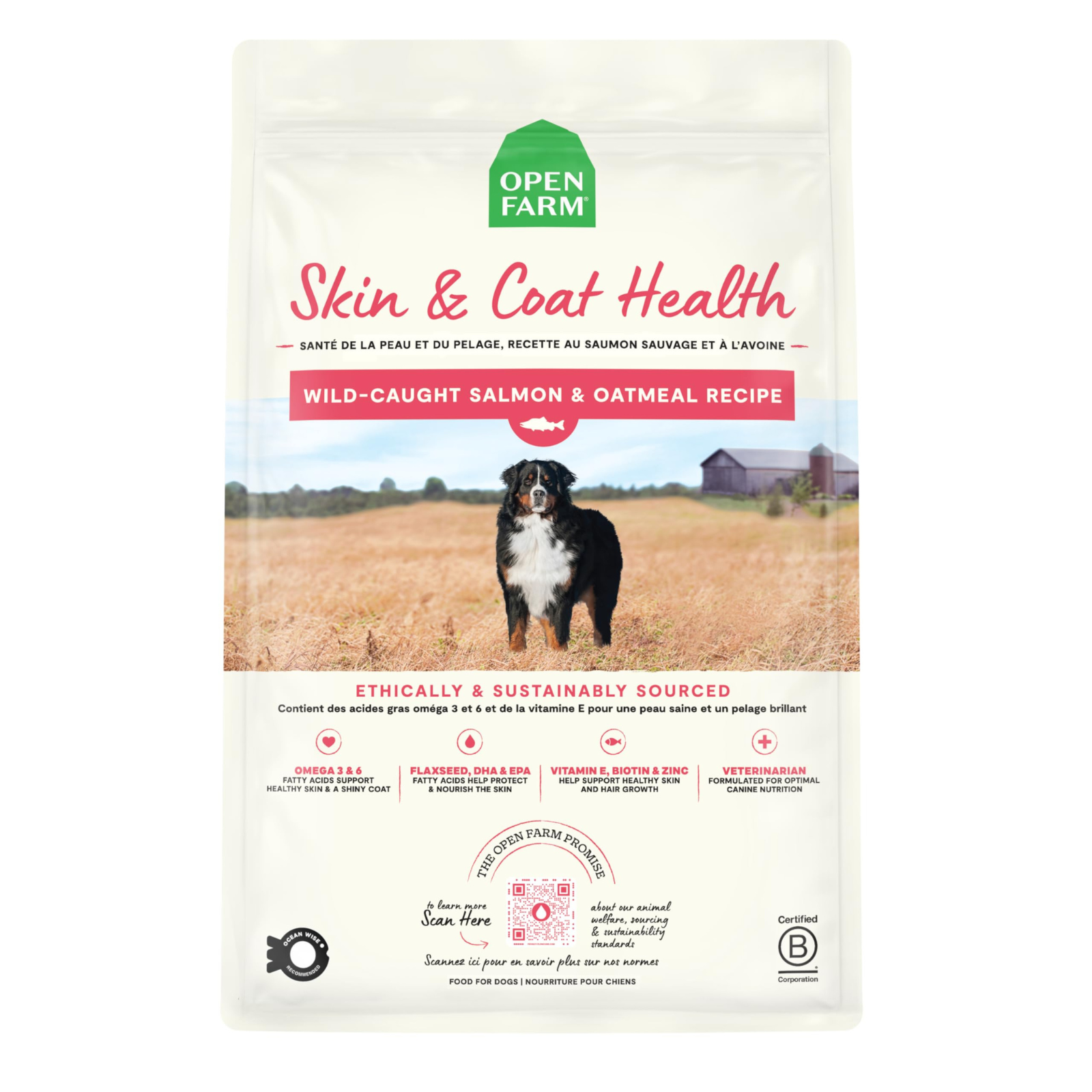 Dog Food - Skin & Coat