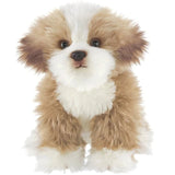 Murphy The Maltipoo 13in