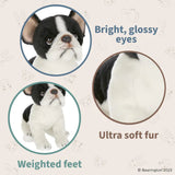 Lil Oliver The French Bulldog 6in