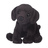 Douglas Lucy Black Lab