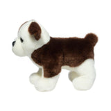 Douglas Clive Bulldog