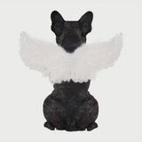 Angel Wings White Feather