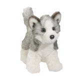 Douglas Blaze Husky