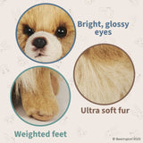 Rudy The Pomeranian 13in