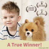 Rudy The Pomeranian 13in