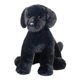 Douglas Spruce Dog