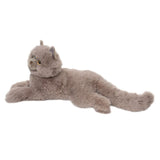 Douglas Juliette Grey Persian Cat