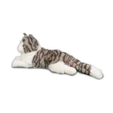 Douglas Smokey Gray Cat