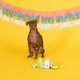 Fringe On Margarita Time Plush Dog Toy 3pk