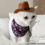 White cat wearing a brown cowboy hat and colorful bandana on a white blanket.