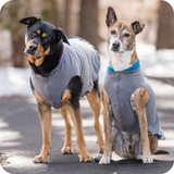 Goldpaw Double Fleece Hunter Green/Chipmunk