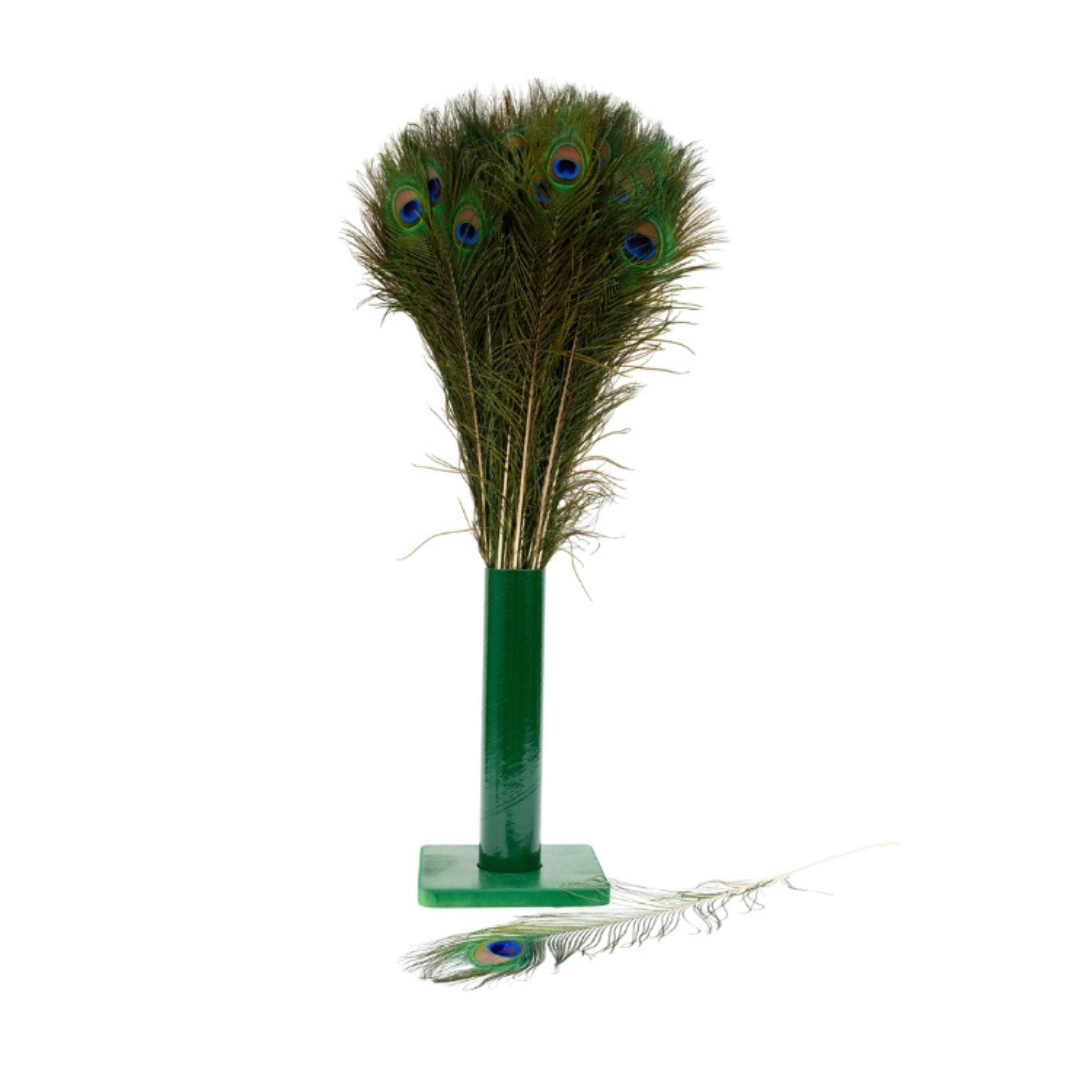 Peacock feather decorative item on a green stand with a white background