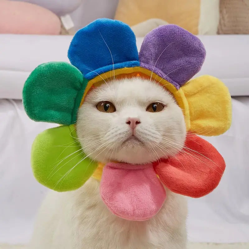 Cat wearing a colorful flower-shaped hat with a blurred background