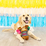 Fringe Tacos & Tequila Dog Toy