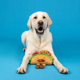 Fringe Spicy Sidekick Plush Dog Toy