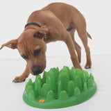 Interactive Green Feeder Mini*
