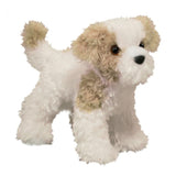 Douglas Jolly Maltipoo