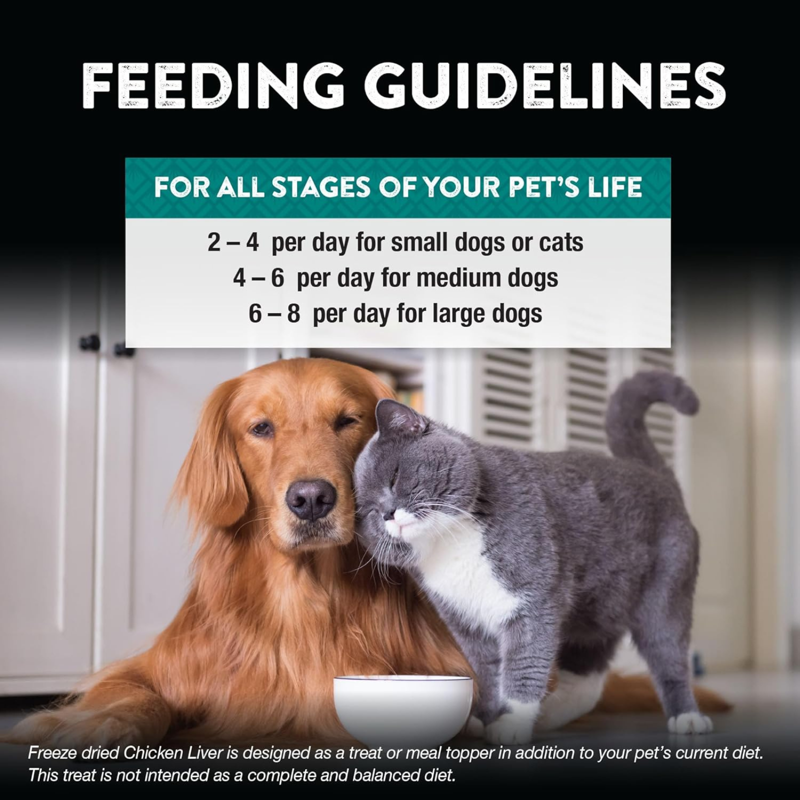 Feeding guidelines for pets with a dog and cat sitting next to a bowl.