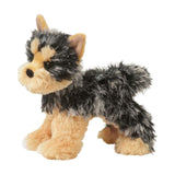 Douglas Yonkers Yorkie