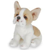 Lil Frenchie The French Bulldog 6in