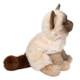 Douglas Fu Siamese Cat