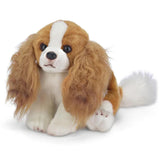 Cavalier King Charles Sadie 13in