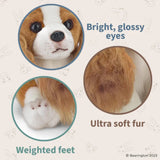 Cavalier King Charles Sadie 13in
