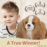 Cavalier King Charles Sadie 13in