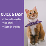 Cat wearing a purple collar with text about a product on a purple background