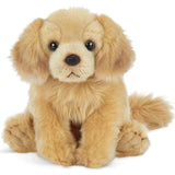 Goldie The Golden Retriever