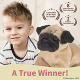 Pugsly The Pug 13in