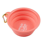 Santa Barbara Collapsible Bowl Spoiled