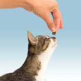 Pet Greens Cat Craves Chicken Treats 3oz