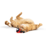 Huxley & Kent Cat Chirpy LadyBug