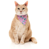 FuzzYard Meowcarons Cat Fashion Pack