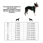 Dog size chart with measurements and a Boston Terrier illustration on a white background