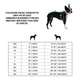 Dog size chart with measurements and a Boston Terrier illustration on a white background