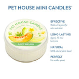 Pet House Mini Candle with 'Juicy Melon' flavor on a white background