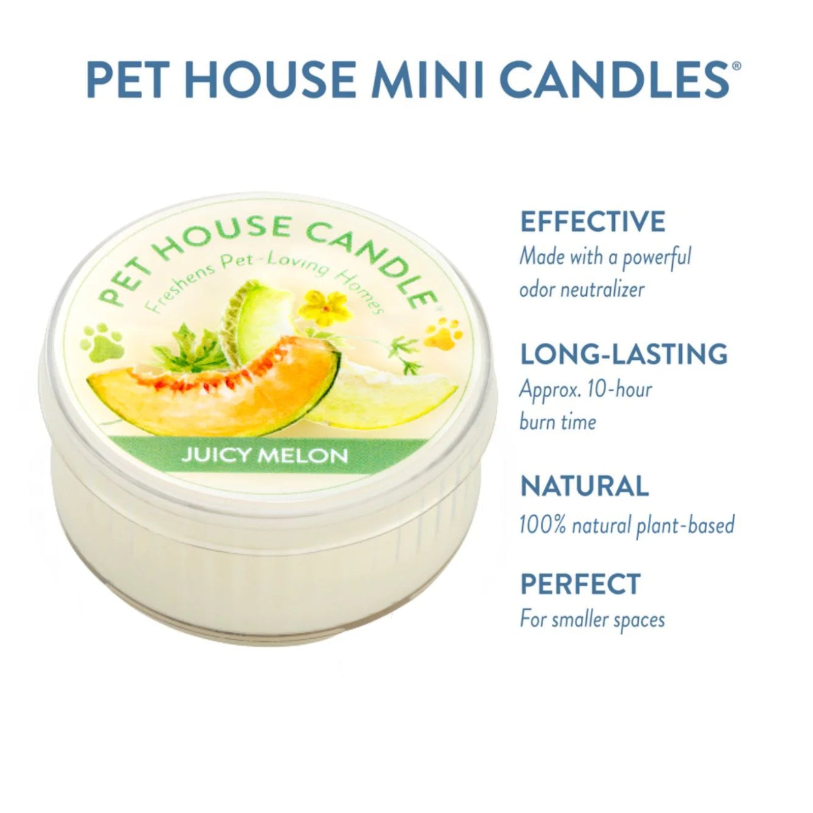 Pet House Mini Candle with 'Juicy Melon' flavor on a white background