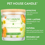 Pet House Candle with features listed on a green background