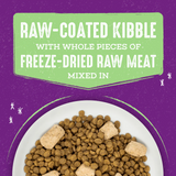 Stella & Chewy's Cat Raw Blend Poultry