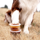 Dog pawing at a container of Greenies dental chews in a grassy field